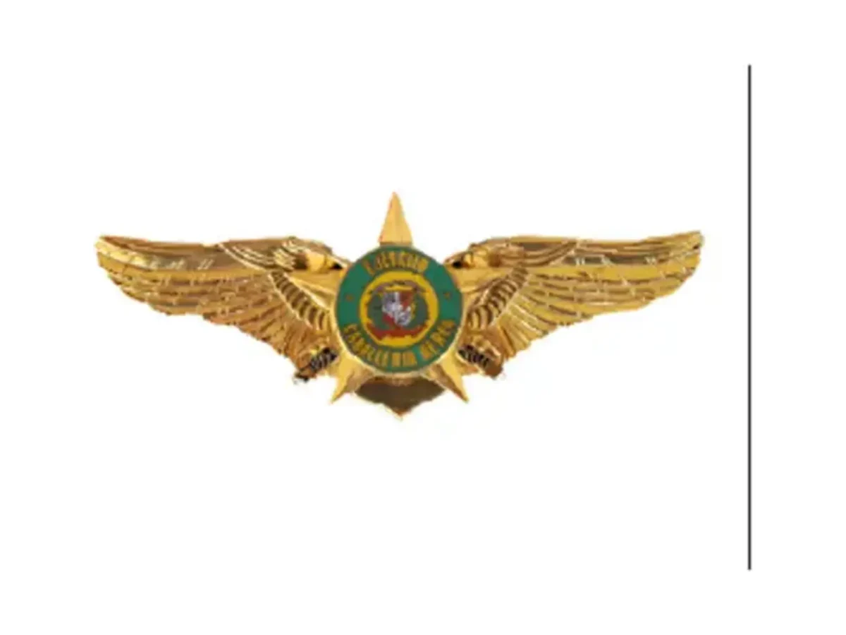 Alas de Pilotos ERD