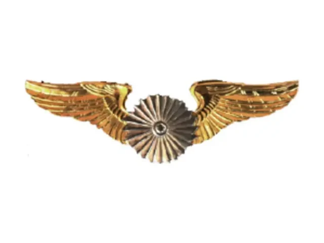 Alas de Técnico de Aviación