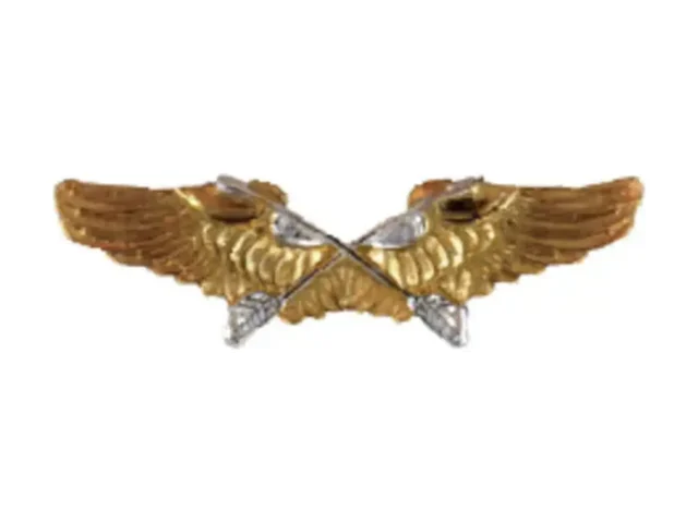 Insignia de arma de Aviación ERD