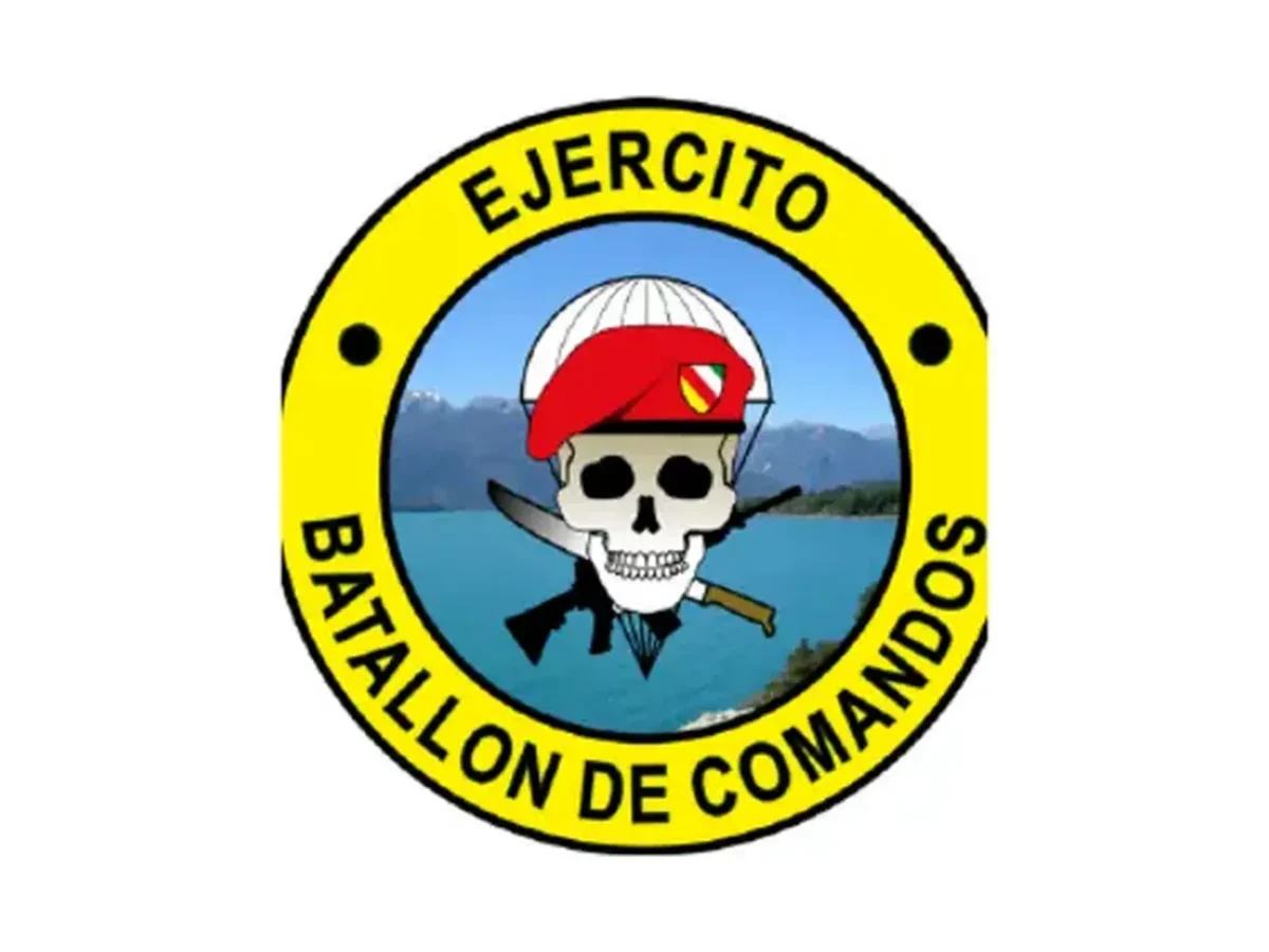 Parche BACOMERD circular