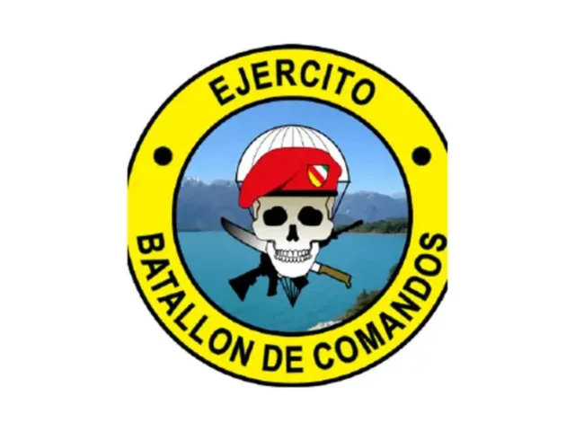 Parche BACOMERD circular