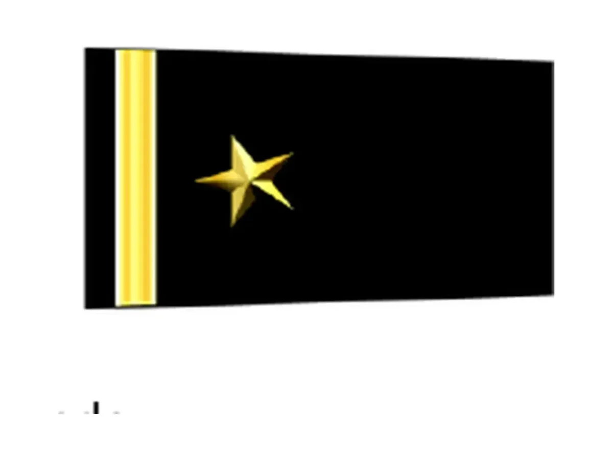 Charretera ARD negra — Teniente de Corbeta