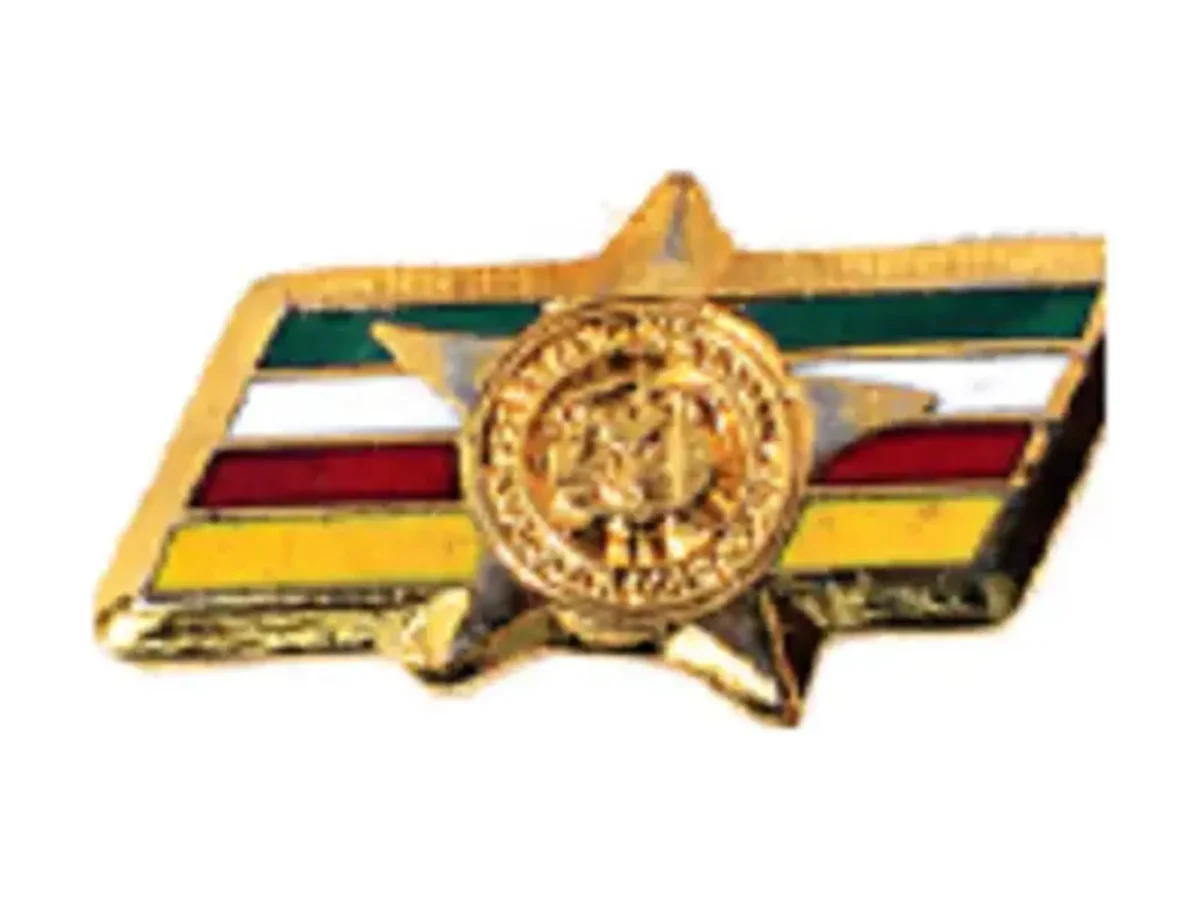 Logo ERD para oficiales