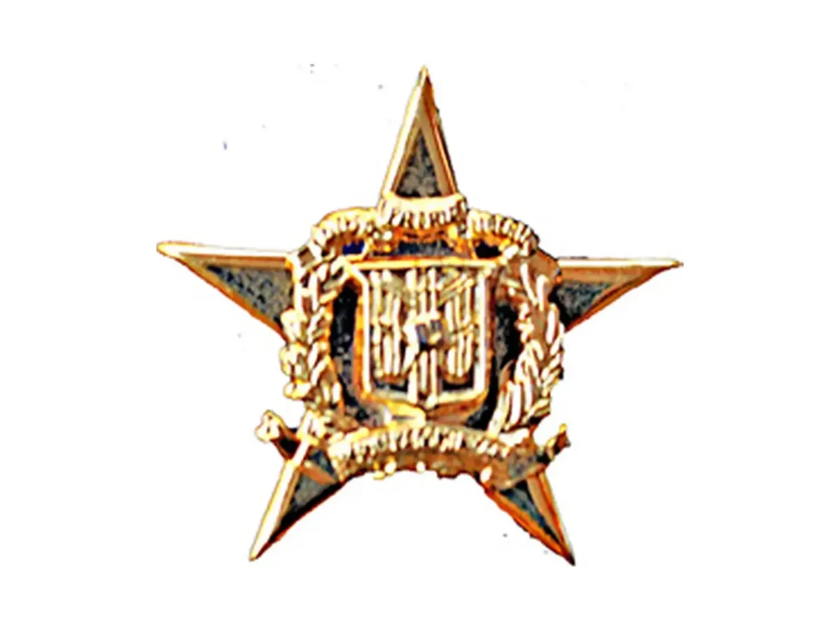 Pin Batalla de la Carrera