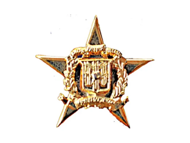 Pin Batalla de la Carrera