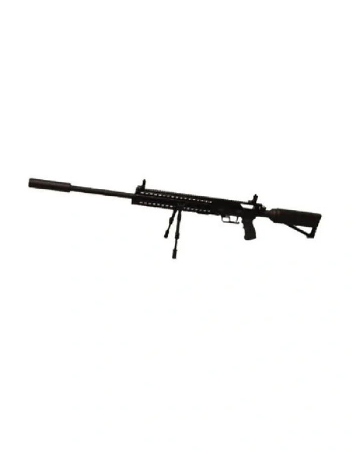 Rex-Ibex .25